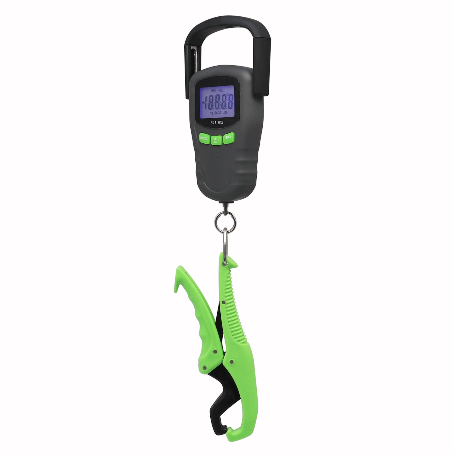 Fsihing scale